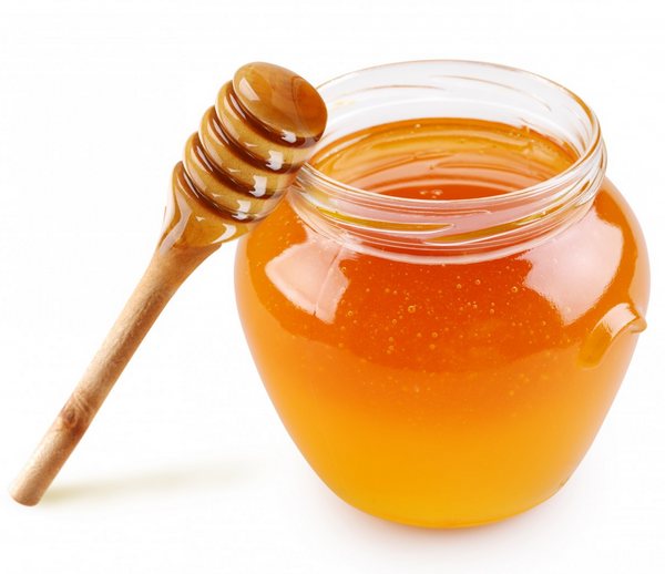 فوائد ومضار عسل الكينا